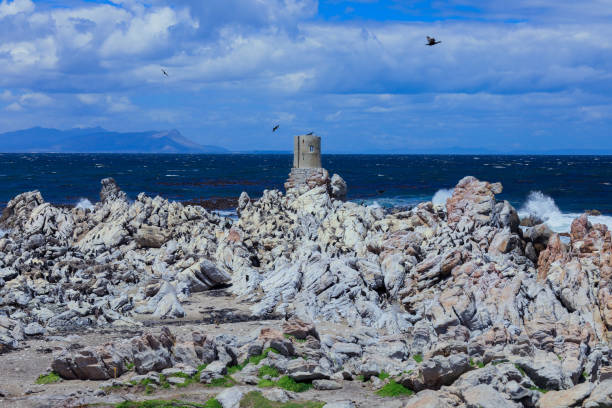 istock Rocky South African coastline with ancient structures and waves under a cloudy sky 2201927244