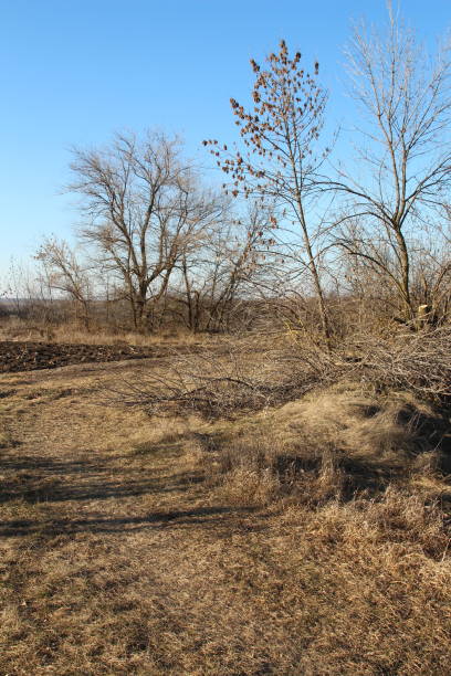 istock A field with trees and a building in the background 2201927452