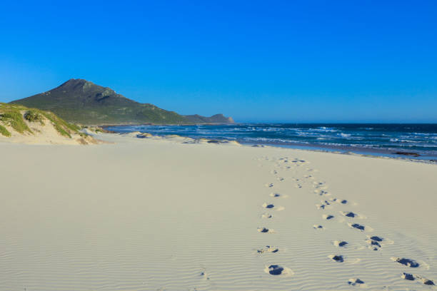 Footprints mark a sandy beach in South Africa, with gentle waves lapping and mountains in the distance on a sunny day.