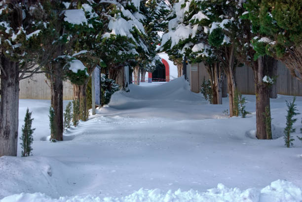driveway to a cemetery completely covered in snow