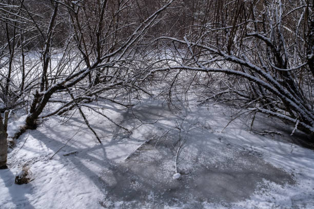 istock Winter landscape with snow covered the lake 2201930800