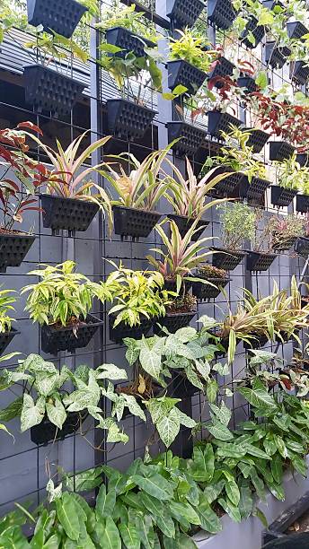 istock Vertical Garden Planting Area 2201932455