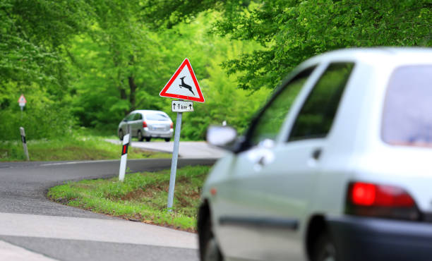 istock Traffic in forest road with deer caution roadsign 2201935004