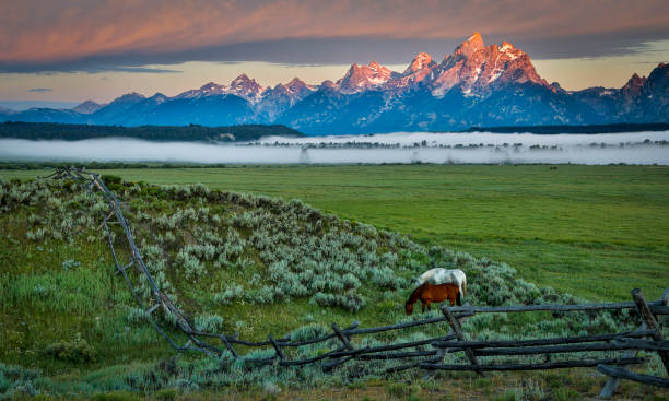 istock Grand Teton low fog morning sunrise 2201936121