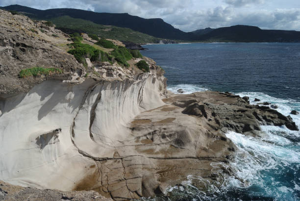 istock The coast of Punta Argentina 2201939784