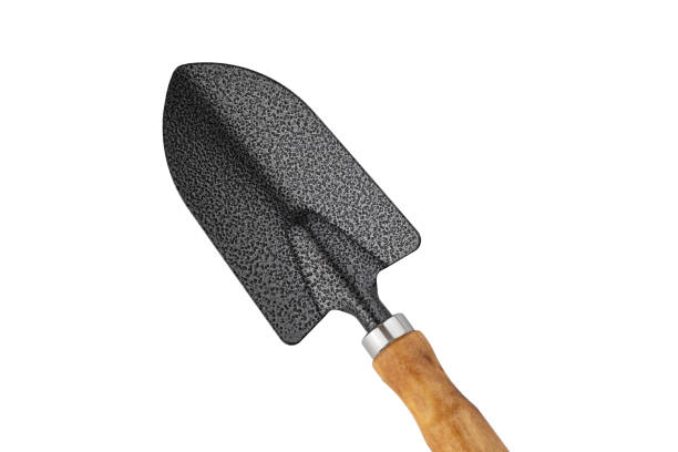 istock Garden trowel with wooden handle isolated on a white background 2201940450