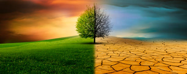 istock Tree in an imaginary landscape in climate change from drought to green growth 2201940501