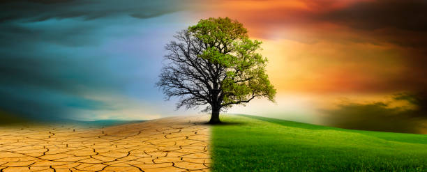 istock Tree in an imaginary landscape in climate change from drought to green growth 2201940506