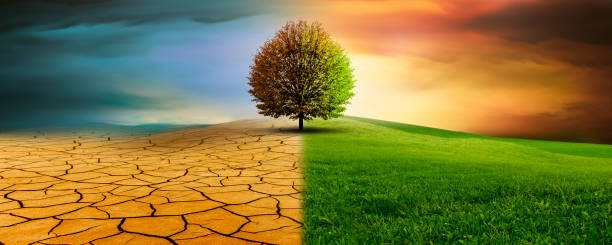 istock Tree in an imaginary landscape in climate change from drought to green growth 2201940507