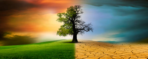istock Tree in an imaginary landscape in climate change from drought to green growth 2201940526