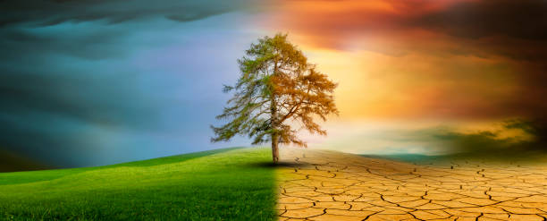 istock Tree in an imaginary landscape in climate change from drought to green growth 2201940562