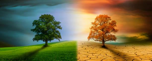 istock Tree in an imaginary landscape in climate change from drought to green growth 2201940571