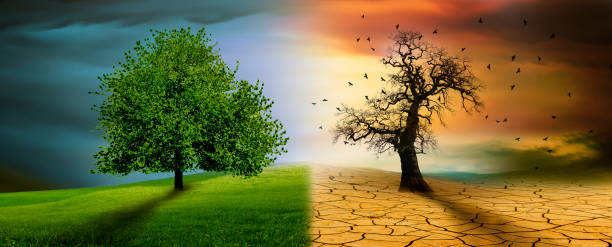 istock Tree in an imaginary landscape in climate change from drought to green growth 2201940574