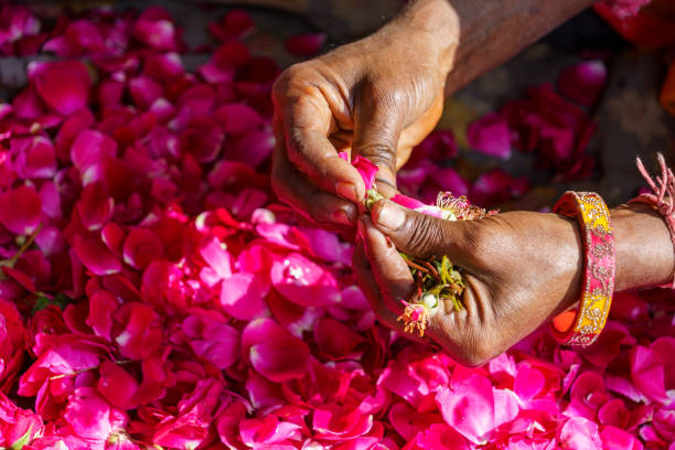 istock India. Rajasthan. Jaipur. Flower market 2201941924