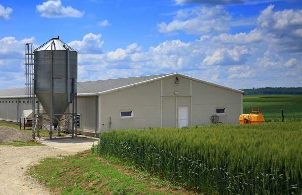 istock Modern farm buildings with silo and cereal 2201942281