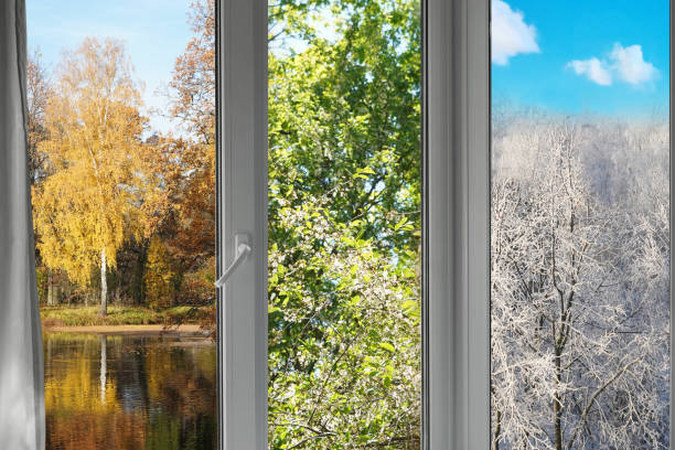 istock View from the window on the autumn, summer, winter  garden  trees. 2201943837
