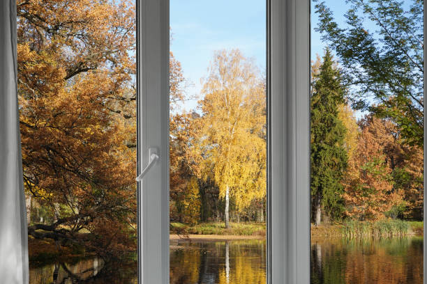 istock View from the window on the autumn yellow garden  trees. 2201943851