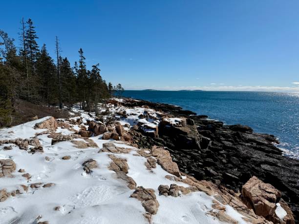 istock Ship Harbor Trail, Acadia National Park 2201945615