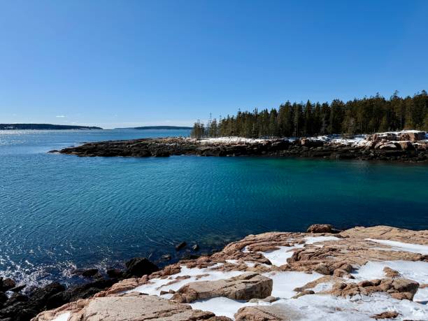 istock Ship Harbor Trail, Acadia National Park 2201945651