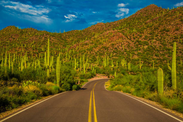 istock A winding desert road near Tucson Arizona. 2201949351