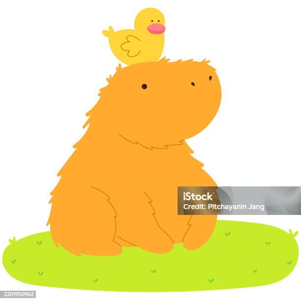 Duck Riding Capybara Capybara Sitting On Grass With A Duck On Its Head Stock Illustration ...