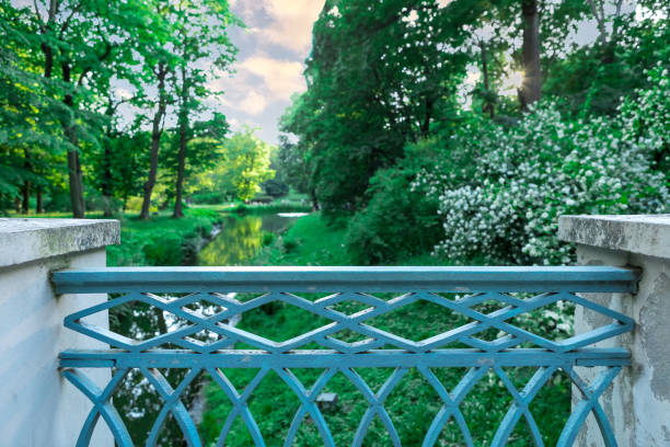 A blue wrought iron fence is in the foreground with blurred trees and a river in the background. The photo is taken from a low angle, and the sun is shining through the trees.