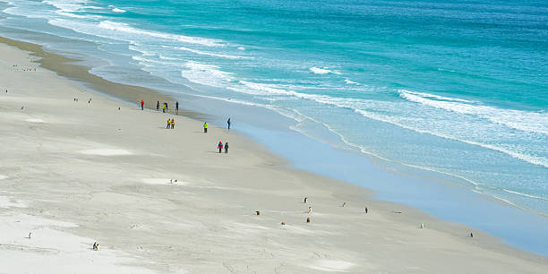 istock Saunders Island beach, Falkland Islands 2201952574