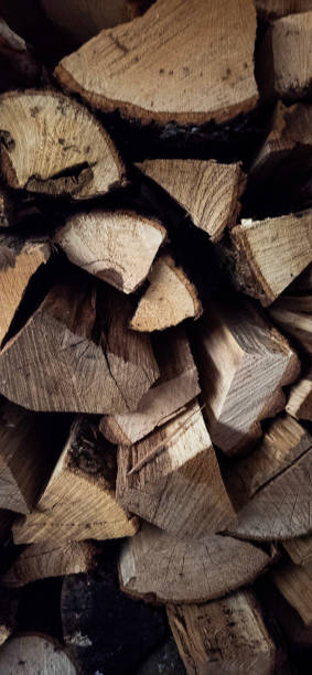 istock Stacked Firewood Logs with Natural Texture 2201953712
