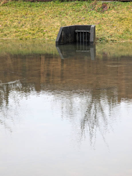 Surrey, Canada - February 25, 2025: Stormwater from an atmospheric river has pooled in a catch basin in the Fleetwood-Tynehead neighbourhood. Winter morning in Metro Vancouver.