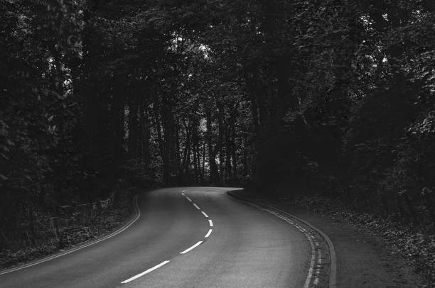 istock Black and white road among the forest. 2201964051