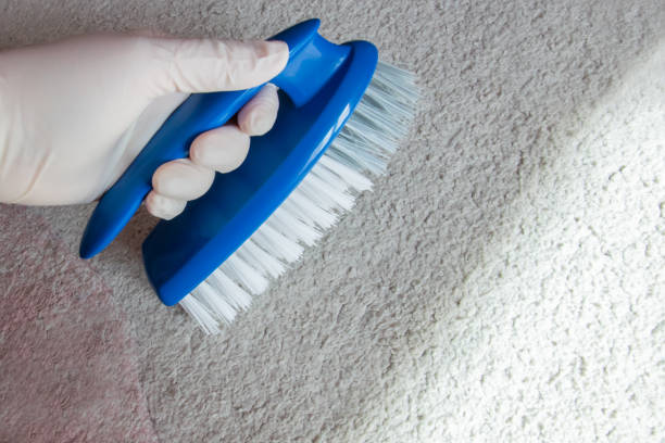 istock Blue brush on the floor with hand in rubber glove. Cleaning. 2201965559