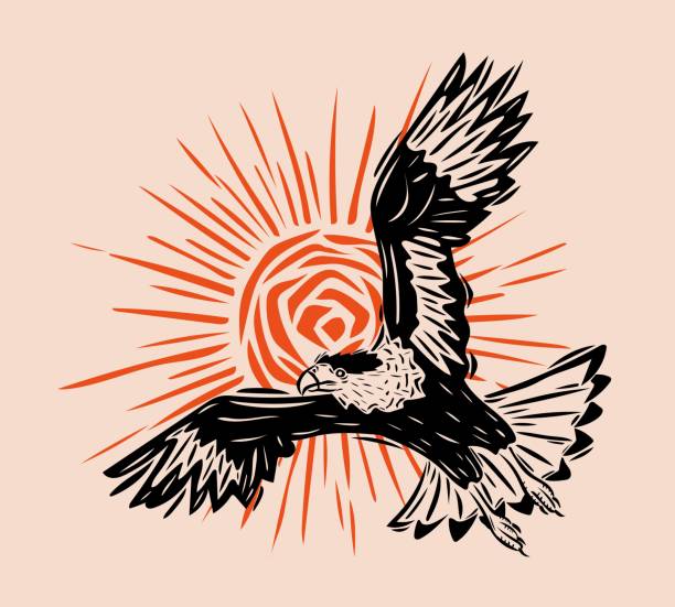 Set of woodcut style illustrations of hawks and falcons