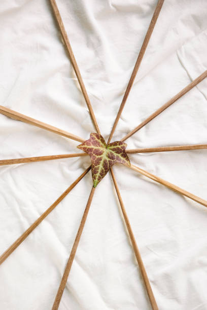 This image features a unique arrangement of wooden chopsticks forming a radial pattern, with a single ivy leaf placed at the center. The minimalist composition on a soft white fabric background creates a sense of harmony and balance, symbolizing nature, simplicity, and artistic food presentation. The organic textures and neutral tones make this image ideal for food styling, restaurant branding, or conceptual photography highlighting sustainability and natural aesthetics.