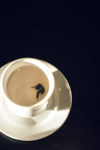 This image captures a close-up of a white ceramic cup filled with smooth and creamy milk tea, with delicate tea leaves floating on the surface. The dark and moody background contrasts with the bright tones of the cup and saucer, creating a sophisticated and elegant composition. The minimalist aesthetic makes this image ideal for tea branding, café promotions, and elegant beverage photography, evoking a sense of relaxation and refined taste.