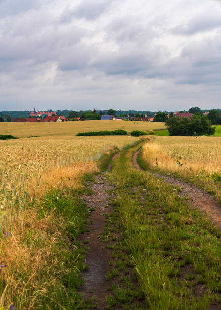 Rural dirt road winding through fields. Path stretches into distance, leading through serene countryside scenery. Peaceful atmosphere captures essence rural life and beauty nature.