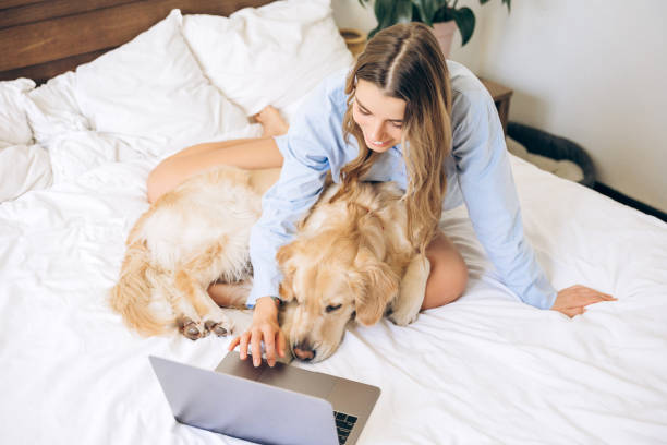 istock Woman working from home with golden retriever using laptop in bed 2201971223