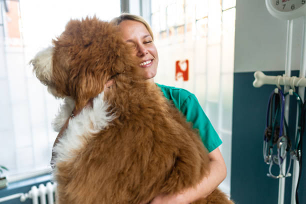 istock Cuddling between the dog and its vet 2201971711