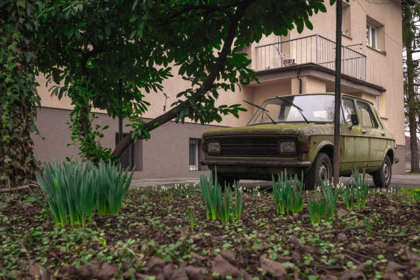 A rustic old vintage car made into a garden with dummy mechanics in Natal South Africa
