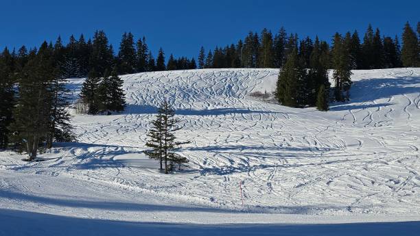 istock A snow-covered ski slope with numerous ski tracks winds down between evergreen trees under a clear blue sky. Shadows cast by trees add contrast to the bright, untouched patches of snow. 2201973714