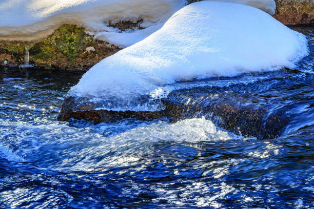 Watercourse in the Pyrenees Orientales mountains in France. Fir forest, rock and tree trunk under the snow.