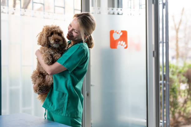 istock Canine patient in the vet's arms 2201978775