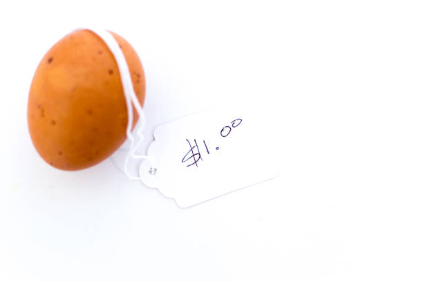 Single Expensive Egg for Sale With Price Tag: $1.00