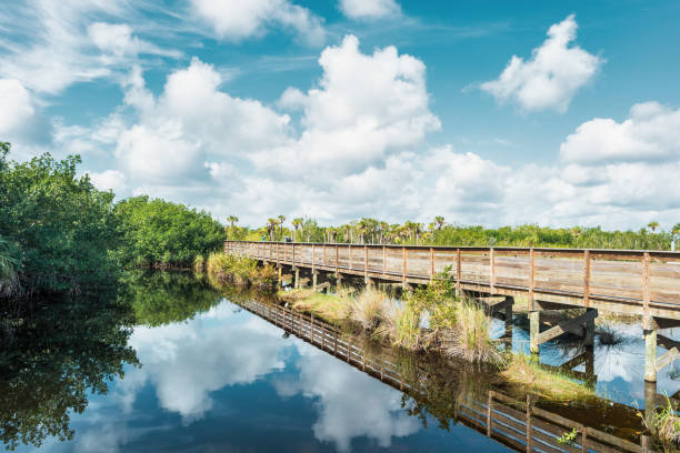 istock Fakahatchee Strand Preserve State Park Florida USA 2201982901