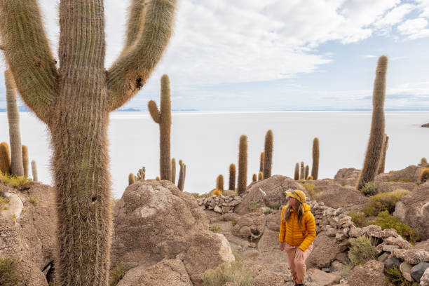istock Woman Exploring Cactus Forest in Desert Landscape 2201983052