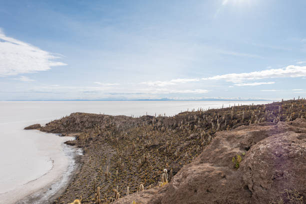 Unique cacti on rocky island in Bolivia's vast salt flats. Scenic landscape with clear horizon and bright sky. Ideal for travel and nature themes.