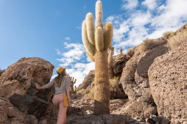 istock Woman Exploring Desert Landscape with Cactus 2201983192