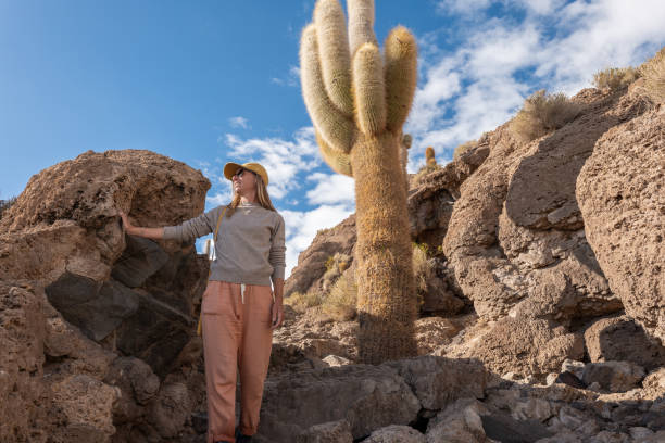 istock Woman Exploring Desert Landscape with Cactus 2201983197