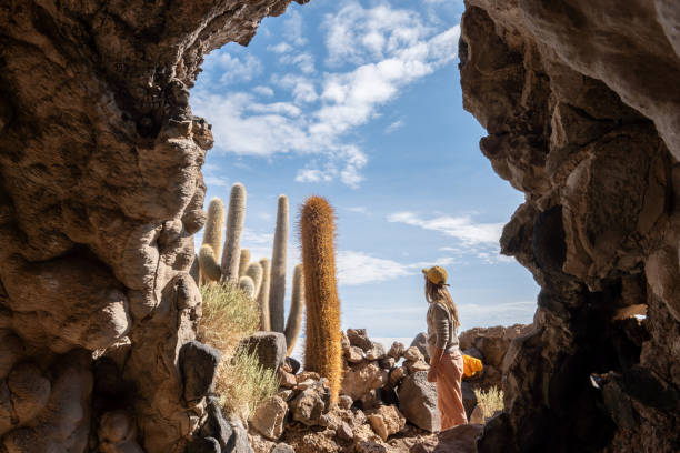 Woman in hiking attire admires towering cacti from cave opening. Explorer enjoying scenic desert views. Outdoor adventure in natural rock formations.