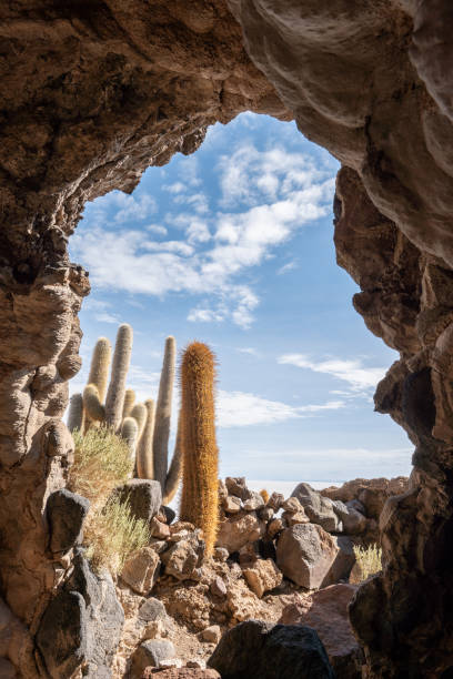 Rocky cave opening framing tall cacti against a bright sky. Unique desert landscape with natural rock formations. Inspiring nature photography for exploration themes.