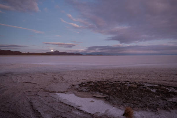 Moon rising over expansive salt flats under a twilight sky. Serene natural landscape with distant mountains. Captivating evening scenery highlighting nature's beauty.